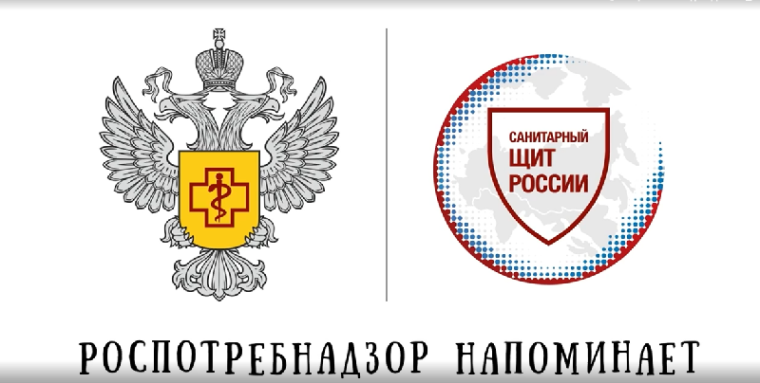 «Санпросвет» информационные материалы.