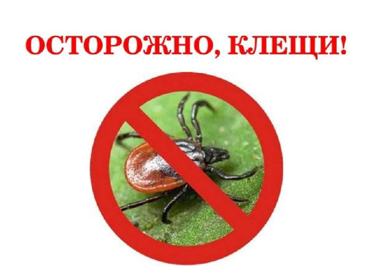 Осторожно – клещи!.